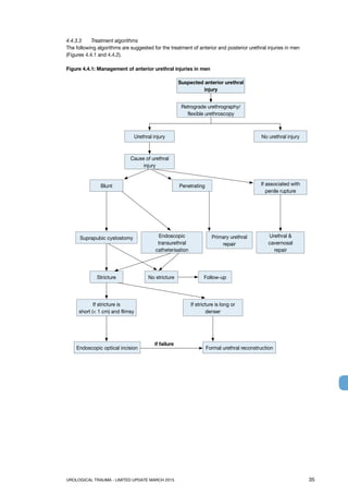 UROLOGICAL TRAUMA - LIMITED UPDATE MARCH 2015	 35
4.4.3.3 	 Treatment algorithms
The following algorithms are suggested for the treatment of anterior and posterior urethral injuries in men
(Figures 4.4.1 and 4.4.2).
Figure 4.4.1: Management of anterior urethral injuries in men
Suspected anterior urethral
injury
Retrograde urethrography/
flexible urethroscopy
Urethral injury
If stricture is
short ( 1 cm) and flimsy
Endoscopic optical incision Formal urethral reconstruction
If stricture is long or
denser
No stricture Follow-up
Primary urethral
repair
Urethral 
cavernosal
repair
Blunt Penetrating
No urethral injury
if failure
Cause of urethral
injury
If associated with
penile rupture
Suprapubic cystostomy Endoscopic
transurethral
catheterisation
Stricture
 