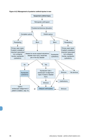 36	 UROLOGICAL TRAUMA - LIMITED UPDATE MARCH 2015
Figure 4.4.2: Management of posterior urethral injuries in men
Suspected urethral injury
Retrograde urethrogram
Prostatomembranous disruption
Partial ruptureComplete rupture
Penetrating
Primary open repair.
If patient unstable or
important associated
non-urological
injuries, suprapubic
cystostomy
Blunt
Yes
Stricture
Stricture
StrictureDelayed urethroplasty
Option:
endoscopic realignment if
patient is stable ( day 14)
Urethrotomy
No stricture
Suprapubic
cystostomy
Suprapubic
cystostomy
Suprapubic tube +
endoscopic re-alignment.
Open if rectal or bladder
injury.
Blunt
No
Penetrating
Primary open repair.
If patient unstable or
important associated
non-urological
injuries, suprapubic
cystostomy
or
or
Assess for acute surgical indications:
bladder neck injury, rectal tear,
pie-in-the-sky bladder
 