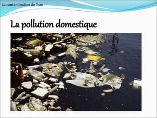 La pollution domestique
La contamination de l’eau
 