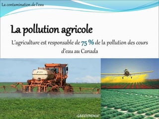 L’agriculture est responsable de 75 %de la pollution des cours
d’eau au Canada
La pollution agricole
La contamination de l’eau
 