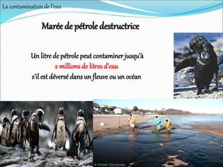 Un litre de pétrole peut contaminer jusqu’à
2 millions de litres d’eau
s’il est déversé dans un fleuve ou un océan
Marée de pétrole destructrice
La contamination de l’eau
 