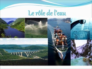 Le rôle de l’eau
 