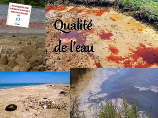 Qualité
de l’eau
 