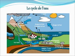 Le cycle de l’eau
 