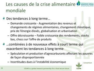 Les causes de la crise alimentaire
mondiale
Des tendances à long terme…
– Demande croissante - Augmentation des revenus et
changements de régimes alimentaires, changement climatique,
prix de l’énergie élevés, globalisation et urbanisation
– Offre décroissante – Faible croissance des rendements, stocks
bas, chocs sur l’offre de produits
…combinées à de nouveaux effets à court terme qui
exacerbent les tendances à long terme
– Spéculation et production d’agrocarburants affectant les pauvres
de façon disproportionnée
– Incertitudes dues à l’instabilité économique
23
 