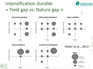 Intensification durable
« Yield gap vs. Nature gap »
39
Milder et al., 2013
 