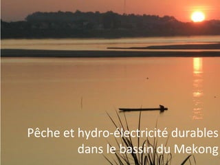 Pêche et hydro-électricité durables
dans le bassin du Mekong
 