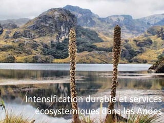 Intensification durable et services
écosystemiques dans les Andes
 