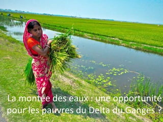 La montée des eaux : une opportunité
pour les pauvres du Delta du Ganges ?
 
