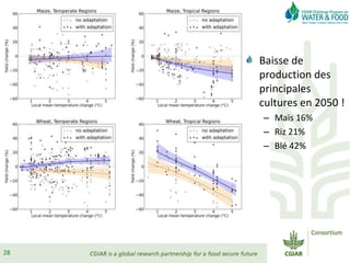 Eau alimentation & pauvrete apt msg eau mpl 2015