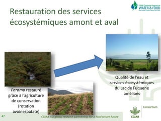 Eau alimentation & pauvrete apt msg eau mpl 2015