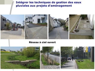 Intégrer les techniques de gestion des eaux
pluviales aux projets d'aménagement




        Réseau à ciel ouvert
 