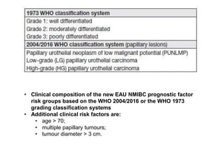 • Clinical composition of the new EAU NMIBC prognostic factor
risk groups based on the WHO 2004/2016 or the WHO 1973
grading classification systems
• Additional clinical risk factors are:
• age > 70;
• multiple papillary tumours;
• tumour diameter > 3 cm.
 
