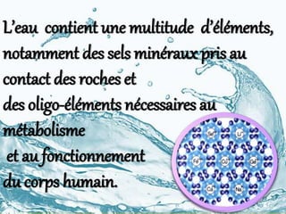 L’eau contient une multitude d’éléments,
notamment des sels minéraux pris au
contact des roches et
des oligo-éléments nécessaires au
métabolisme
et au fonctionnement
du corps humain.
 