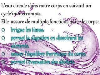 L’eau circule dans notre corps en suivant un
cycle ininterrompu.
Elle assure de multiple fonctions dans le corps:
 