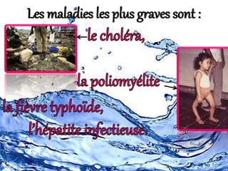 Les maladies les plus graves sont :
 