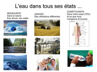 L'eau dans tous ses états ...
                                                      CONSTITUANTE
RESSOURCE              USAGES                         Dans notre corps (70%)
Dans la nature         Des utilisations différentes   et ce que nous
Eau douce, eau salée                                  mangeons et buvons
 