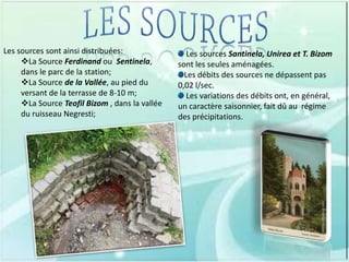 Les sources sont ainsi distribuées:
La Source Ferdinand ou Sentinela,
dans le parc de la station;
La Source de la Vallée, au pied du
versant de la terrasse de 8-10 m;
La Source Teofil Bizom , dans la vallée
du ruisseau Negresti;

Les sources Santinela, Unirea et T. Bizom
sont les seules aménagées.
Les débits des sources ne dépassent pas
0,02 l/sec.
Les variations des débits ont, en général,
un caractère saisonnier, fait dû au régime
des précipitations.

 