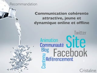Recommandation

            Communication cohérente
               attractive, jeune et
            dynamique online et ofﬂine




                                 Cristaline
 