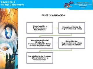 Equipo No. 9
Trabajo Colaborativo
Equipo No. 9
Trabajo Colaborativo
FASES DE APLICACION
 