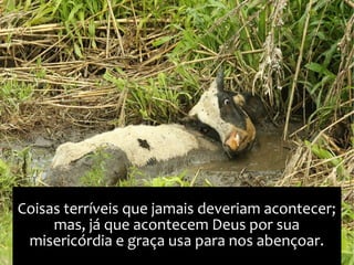 Coisas terríveis que jamais deveriam acontecer;
mas, já que acontecem Deus por sua
misericórdia e graça usa para nos abençoar.
 