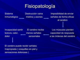 FisiopatologíaFisiopatología
Sistema Destrucción vaina Imposibilidad de enviarSistema Destrucción vaina Imposibilidad de enviar
Inmunológico mielina y axones señales de forma eficazInmunológico mielina y axones señales de forma eficaz
al cerebroal cerebro
Incapacidad sentir El cerebro recibe Los músculos pierdenIncapacidad sentir El cerebro recibe Los músculos pierden
textura, calor, menos señales capacidad de respuestatextura, calor, menos señales capacidad de respuesta
dolor sensoriales a las órdenes del cerebrodolor sensoriales a las órdenes del cerebro
El cerebro puede recibir señalesEl cerebro puede recibir señales
Inapropiada ( cosquilleo en piel yInapropiada ( cosquilleo en piel y
sensaciones dolorosas )sensaciones dolorosas )
 