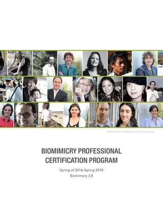 BIOMIMICRY PROFESSIONAL
CERTIFICATION PROGRAM
Spring of 2016–Spring 2018
Biomimicry 3.8
2008 and 2011 Certified Biomimicry Professionals
 