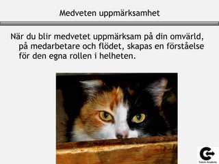 Medveten uppmärksamhet
När du blir medvetet uppmärksam på din omvärld,
på medarbetare och flödet, skapas en förståelse
för den egna rollen i helheten.
 