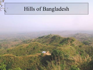 Hills of Bangladesh
 