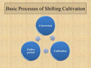 Basic Processes of Shifting Cultivation
Conversion
Cultivation
Fallow
period
 