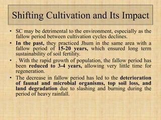 Shifting Cultivation and Its Impact
• SC may be detrimental to the environment, especially as the
fallow period between cultivation cycles declines.
• In the past, they practiced Jhum in the same area with a
fallow period of 15-20 years, which ensured long term
sustainability of soil fertility.
• . With the rapid growth of population, the fallow period has
been reduced to 3-4 years, allowing very little time for
regeneration.
• The decrease in fallow period has led to the deterioration
of faunal and microbial organisms, top soil loss, and
land degradation due to slashing and burning during the
period of heavy rainfall.
 