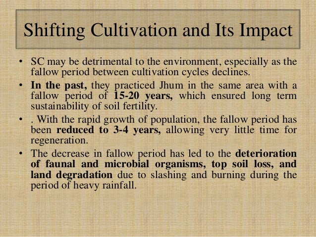 shifting-cultivation