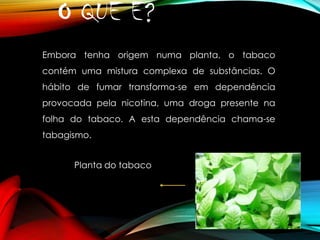 O QUE É?
Embora tenha origem numa planta, o tabaco
contém uma mistura complexa de substâncias. O
hábito de fumar transforma-se em dependência
provocada pela nicotina, uma droga presente na
folha do tabaco. A esta dependência chama-se
tabagismo.

Planta do tabaco

 