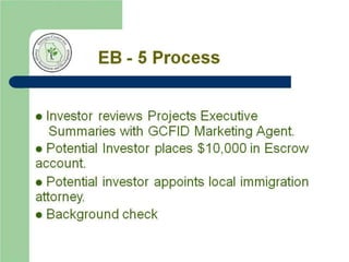 The EB-5 Visa Program