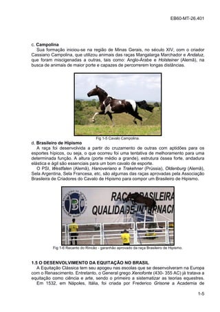  Guia Curso Básico de Desenho - Cavalos (Portuguese