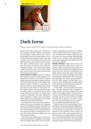 www.oxfordbusinessgroup.com/country/uae-ras-al-khaimah
124 THE GUIDE CULTURE
Arabian horses are famed for their endurance, strength and loyalty
Equestrian culture is alive and kicking in the emirate
As the ancient Arabic proverb says, “Horses know
their horsemen the best”. Indeed, “not everyone
has the ability to connect with a horse,” accord-
ing to Nikolas Santek, the stable manager of the
Al Wadi Equestrian Adventure Centre. This may
ring even truer for the Arabian horse, which must
identify its riders and caretakers by the sound of
their walk, as Arabian horses’ vision is generally
poor. The horses are famed for their endurance,
strength and loyalty – not to mention their beauty.
Prized for centuries, they remain widely sought
after, and are a source of both personal pride and
social status for their owners.
HARSH DESERT CLIMATE: Centuries of isolation
have helped to shape the unique qualities of the
Arabian horse, which over time honed its physical
prowess by traversing expansive swathes of desert
in the lands that today make up the modern UAE.
Bedouin breeders insisted on maintaining the
purity of the horse’s blood, believing that it would
give them the best chance of facing down the
harsh desert climate, and of winning long drawn
out battles. While it is believed to be one of the
world’s oldest surviving breeds, its origins remain
clouded in uncertainty, with many claiming the
horse originated in northern Syria and southern
Turkey. Indeed, its first appearance on the Arabian
Peninsula stretches back to 2500 BCE.
The Arabian horse has five primary ancestors:
Kaheela, Ebia, Dahma, Showeimah and Saqlaweya.
These are all celebrated at Dubai’s Horse Museum,
with rooms devoted to bloodlines, physiology and
the role of the Arabian horse in classical literature.
The museum also features photographs and arti-
facts from various sites with a significance in the
UAE’s equestrian history.
One site that has yielded many important dis-
coveries over the years is at Meleiha, a small village
south of Al Dhaid, about 50 km from the coast in
Sharjah. Investigations that took place in Meleiha
from the 1970s onwards have uncovered a pre-Is-
lamic settlement that included a large tomb, with
the remains of horses and camels alongside those
of their owners. A horse’s bridle, decorated with
metal rings and gold plates, was dated to be from
as far back as 300 BCE.
EQUINE HERITAGE: Arabian horses tend to be
classified according to their place of origin. For
example, Hejazis are famed for their black eyes,
strong hooves and ankles, while the Najdi have long
necks, lean faces, small ears, broad buttocks and
thighs. Yemeni horses have coarse, thick bodies,
short necks, thin buttocks and thighs. Syrian Arabi-
ans, meanwhile, boast beautiful colours, wide eyes,
bald foreheads, soft hooves and big jawbones.
From the 1990s onwards, the UAE began to cul-
tivate its equine heritage more seriously, making
efforts to preserve local breeds and issuing inter-
nationally recognised birth certificates.
A royal stable – among the oldest in the entire
UAE – has been situated in Ras Al Khaimah for
nearly 50 years, and horses continue to be used
to patrol local villages by night. “The decline of the
horse as a tool of battle and transport was largely
inevitable, but this is not to say that the Arabian
horse has lost its relevance– far from it,” Santek
said. “The horse has become a source of passion –
and more widely accessible to the public too.”
Situated close to the renowned Banyan Tree Al
Wadi Resort sits the newly opened Al Wadi Eques-
trian Adventure Centre, which offers riding lessons
and has become a popular place for tourists to
experience local equestrian culture. Horses are
taken on desert walks, and are given daily exer-
cises to take such as jumping. While this may seem
a far cry from the battlefields on which the Arabian
horse once trod, it represents a more appropriate
setting for equestrian life in these modern times.
Darkhorse
 