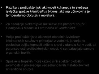 • Razlika v protibakterijski aktivnosti kuhanega in svežega
izvlečka spužve Hemigellius bidens: aktivna učinkovina je
temperaturno občutljiva molekula.
• Za nadaljnje biokemijske raziskave sta primerni spužvi
Hemigellius bidens in Latrunculia cf. lendenfeldi.
• Večja protibakterijska aktivnost etanolnih izvlečkov
istoimenskih spužev v primerjavi z vodnimi, je verjetno
posledica boljše topnosti aktivne snovi v etanolu kot v vodi, ali
pa prisotnosti protibakterijskih snovi, ki se raztapljajo samo v
organskih topilih.
• Spužve iz tropskih morij kažejo širši spekter bioloških
aktivnosti in proizvedejo več sekundarnih metabolitov kot
antarktične spužve.
 