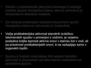 • Razlika v protibakterijski aktivnosti kuhanega in svežega
izvlečka spužve Hemigellius bidens: aktivna učinkovina je
temperaturno občutljiva molekula.
• Za nadaljnje biokemijske raziskave sta primerni spužvi
Hemigellius bidens in Latrunculia cf. lendenfeldi.
• Večja protibakterijska aktivnost etanolnih izvlečkov
istoimenskih spužev v primerjavi z vodnimi, je verjetno
posledica boljše topnosti aktivne snovi v etanolu kot v vodi, ali
pa prisotnosti protibakterijskih snovi, ki se raztapljajo samo v
organskih topilih.
• Spužve iz tropskih morij kažejo širši spekter bioloških
aktivnosti in proizvedejo več sekundarnih metabolitov kot
antarktične spužve.
 