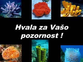 Hvala za Vašo
pozornost !
 