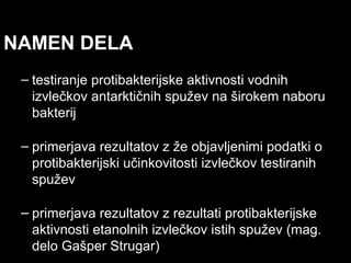 NAMEN DELA
– testiranje protibakterijske aktivnosti vodnih
izvlečkov antarktičnih spužev na širokem naboru
bakterij
– primerjava rezultatov z že objavljenimi podatki o
protibakterijski učinkovitosti izvlečkov testiranih
spužev
– primerjava rezultatov z rezultati protibakterijske
aktivnosti etanolnih izvlečkov istih spužev (mag.
delo Gašper Strugar)
 