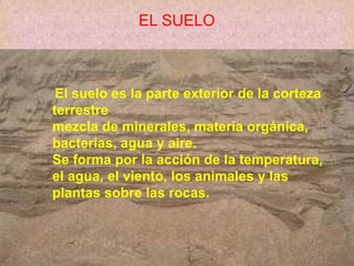 
EL SUELO
El suelo es la parte exterior de la corteza
terrestre
mezcla de minerales, materia orgánica,
bacterias, agua y aire.
Se forma por la acción de la temperatura,
el agua, el viento, los animales y las
plantas sobre las rocas.
 