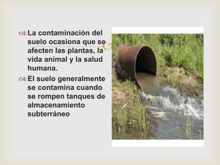 
 La contaminación del
suelo ocasiona que se
afecten las plantas, la
vida animal y la salud
humana.
 El suelo generalmente
se contamina cuando
se rompen tanques de
almacenamiento
subterráneo
 
