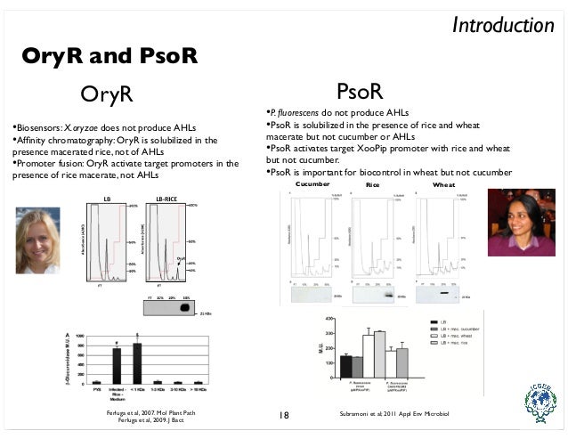 Alkaline protease phd thesis