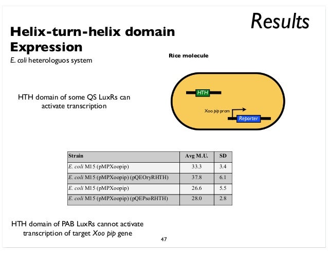 Example of protein picture