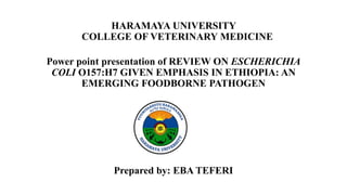 HARAMAYA UNIVERSITY
COLLEGE OF VETERINARY MEDICINE
Power point presentation of REVIEW ON ESCHERICHIA
COLI O157:H7 GIVEN EMPHASIS IN ETHIOPIA: AN
EMERGING FOODBORNE PATHOGEN
Prepared by: EBA TEFERI
 