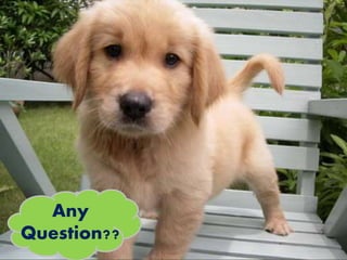 Any
Question??
 