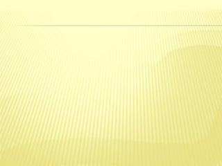 O Concerto com Deus no Sinai