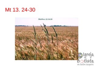 Mt 13. 24-30
 