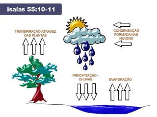 Lição 7 - Os Dez Mandamentos