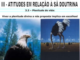 3.3 – Plenitude de vida:

Viver a plenitude divina a nós proposta implica em escolhas!
 